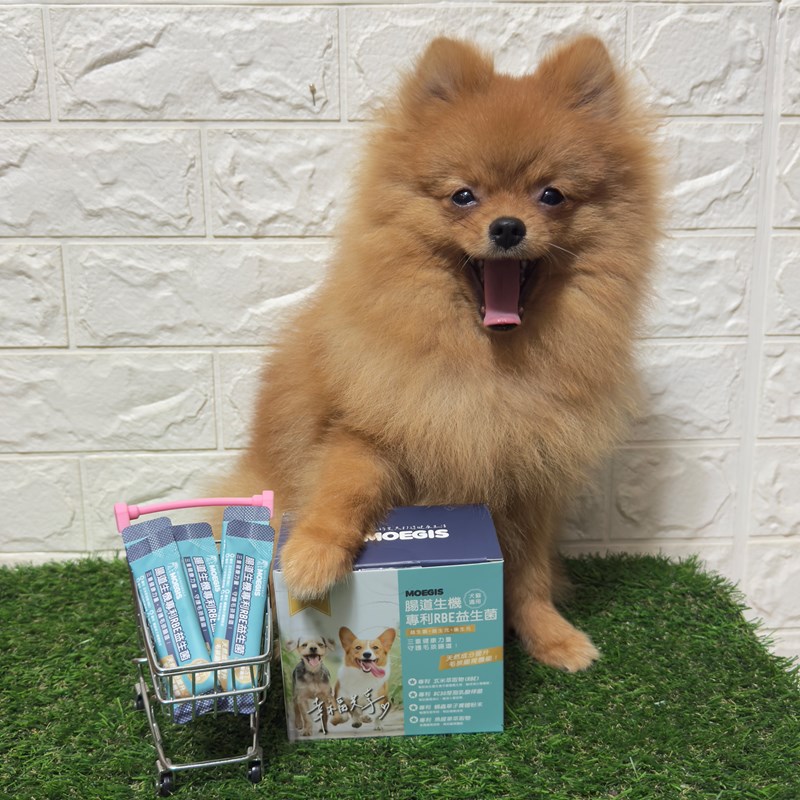 女人知己試用大隊,口碑行銷,部落客行銷,Moegis萌吉 腸道生機專利RBE益生菌,寵物益生菌,專利RBE益生元,專利蔬果酵素,小分子胜肽,藍藻粉,維持免疫力,幫助維持消化道機能,維持正常食慾,改變細菌叢生態,腸胃保健,犬貓適用